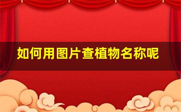 如何用图片查植物名称呢