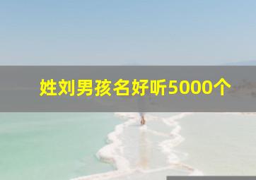 姓刘男孩名好听5000个