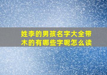 姓李的男孩名字大全带木的有哪些字呢怎么读