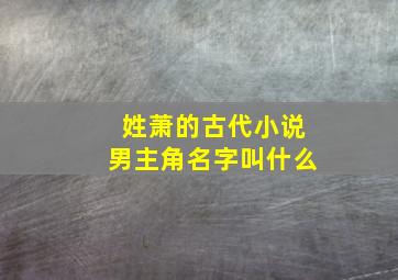 姓萧的古代小说男主角名字叫什么