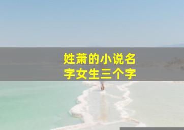 姓萧的小说名字女生三个字