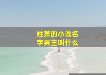 姓萧的小说名字男主叫什么