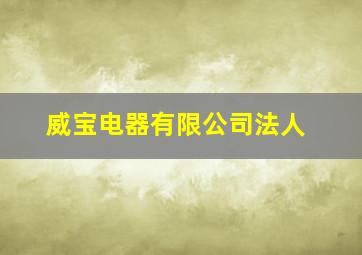 威宝电器有限公司法人