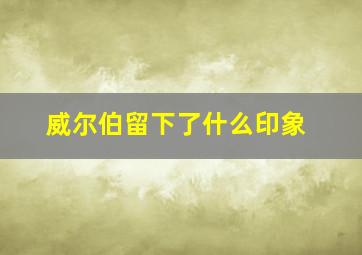 威尔伯留下了什么印象