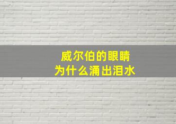 威尔伯的眼睛为什么涌出泪水