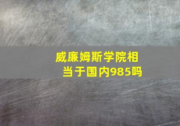 威廉姆斯学院相当于国内985吗