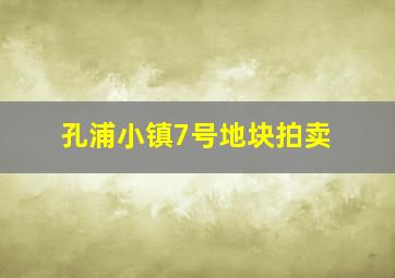 孔浦小镇7号地块拍卖