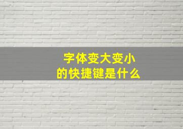 字体变大变小的快捷键是什么