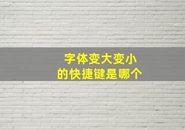 字体变大变小的快捷键是哪个