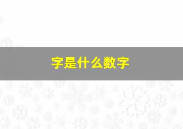 字是什么数字