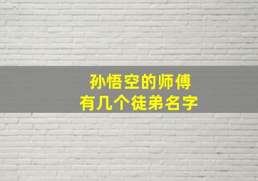 孙悟空的师傅有几个徒弟名字