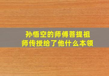 孙悟空的师傅菩提祖师传授给了他什么本领