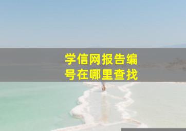 学信网报告编号在哪里查找