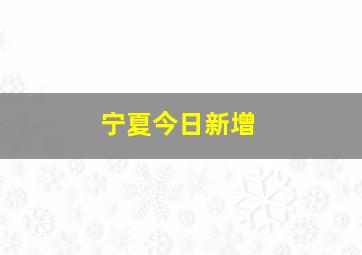 宁夏今日新增