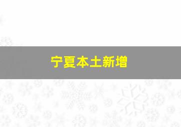 宁夏本土新增