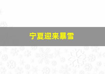 宁夏迎来暴雪