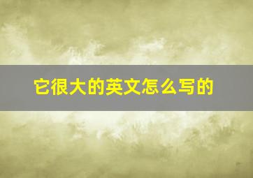 它很大的英文怎么写的