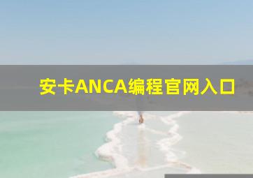 安卡ANCA编程官网入口