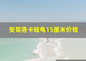 安哥洛卡陆龟15厘米价钱