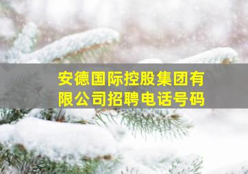 安德国际控股集团有限公司招聘电话号码