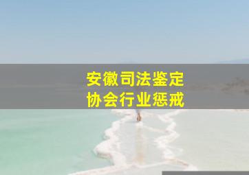 安徽司法鉴定协会行业惩戒