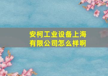 安柯工业设备上海有限公司怎么样啊