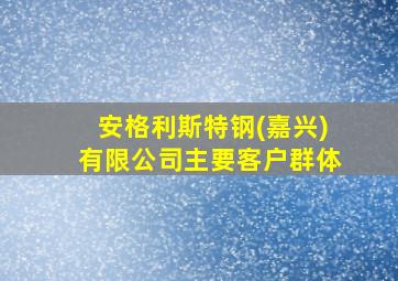 安格利斯特钢(嘉兴)有限公司主要客户群体