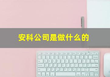 安科公司是做什么的