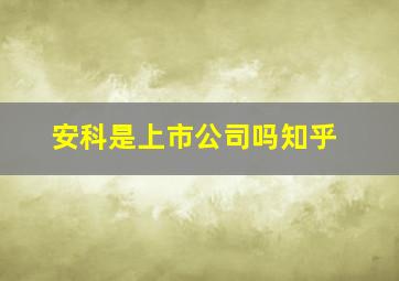 安科是上市公司吗知乎