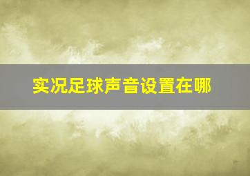 实况足球声音设置在哪