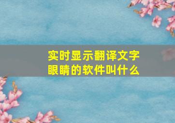 实时显示翻译文字眼睛的软件叫什么