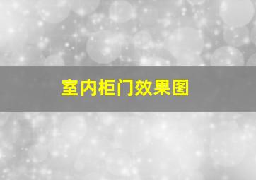 室内柜门效果图