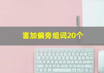 害加偏旁组词20个