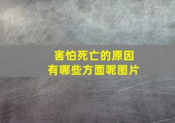 害怕死亡的原因有哪些方面呢图片