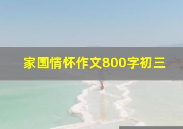 家国情怀作文800字初三