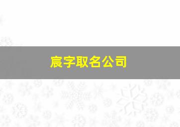 宸字取名公司