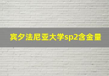 宾夕法尼亚大学sp2含金量