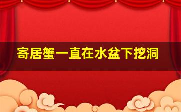 寄居蟹一直在水盆下挖洞