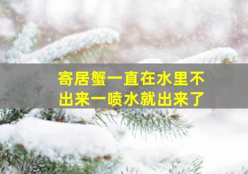 寄居蟹一直在水里不出来一喷水就出来了