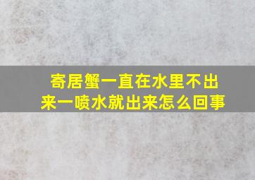 寄居蟹一直在水里不出来一喷水就出来怎么回事