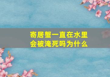 寄居蟹一直在水里会被淹死吗为什么