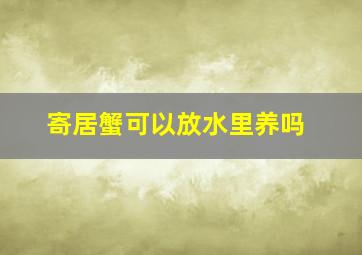 寄居蟹可以放水里养吗