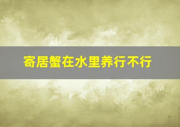 寄居蟹在水里养行不行