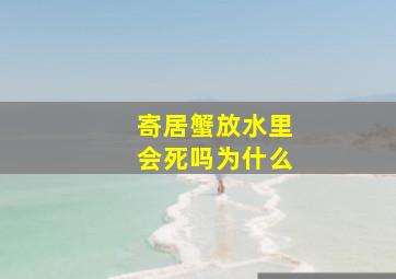 寄居蟹放水里会死吗为什么