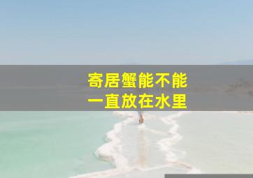 寄居蟹能不能一直放在水里