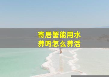 寄居蟹能用水养吗怎么养活