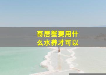 寄居蟹要用什么水养才可以