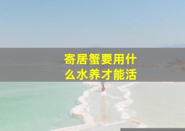 寄居蟹要用什么水养才能活