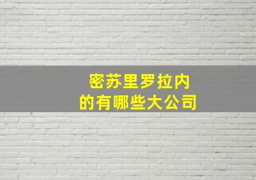 密苏里罗拉内的有哪些大公司