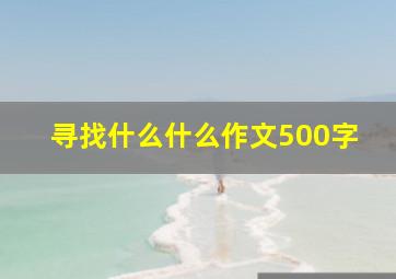 寻找什么什么作文500字